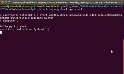 electron python shell.
